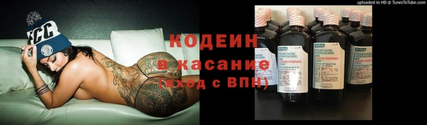 гашик Алзамай