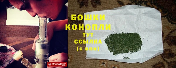 гидропоника Рославль