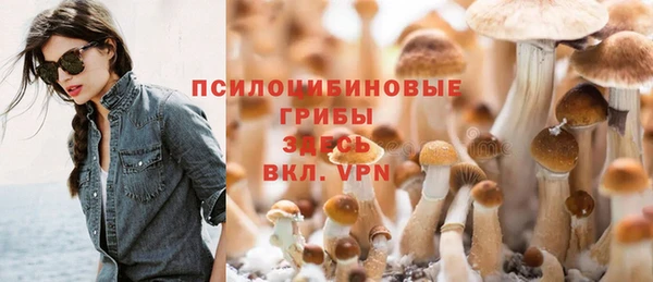 гашик Алексеевка