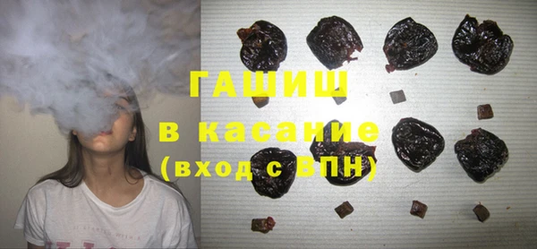гашик Алексеевка