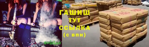 гашик Алексеевка