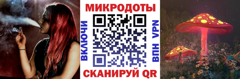 площадка формула  Бирюч  Галлюциногенные грибы мицелий 