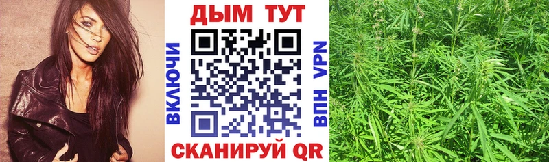 Конопля планчик  где найти   Бирюч 
